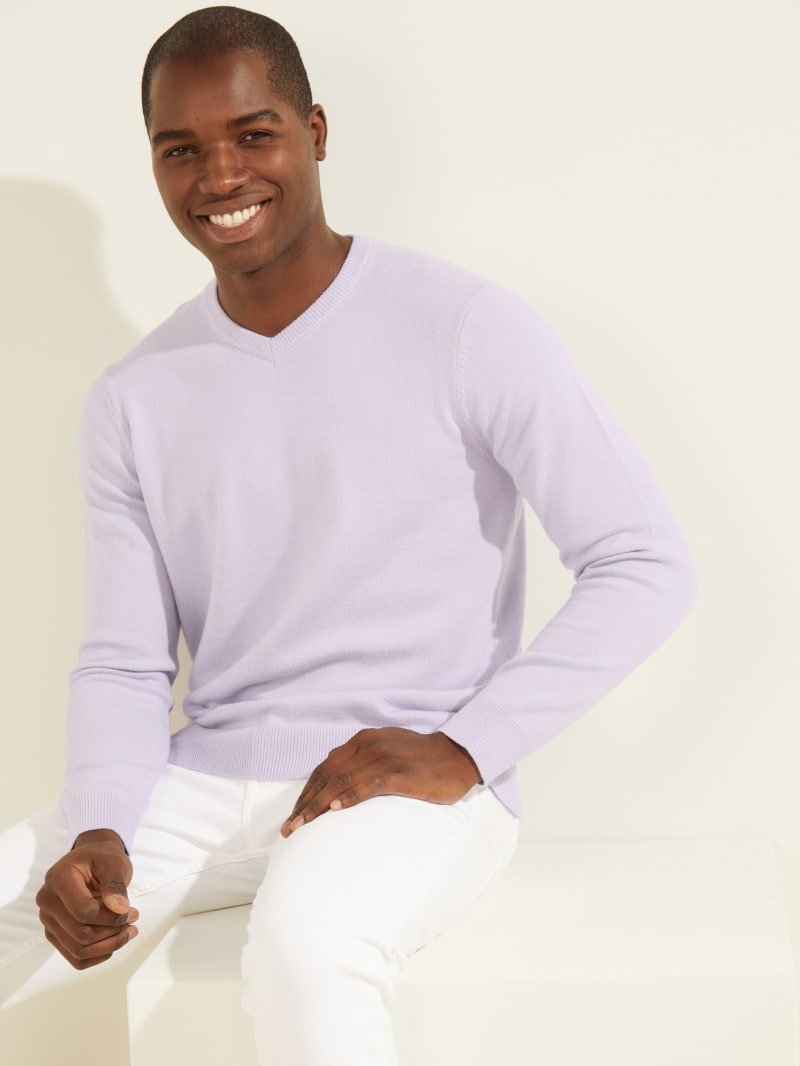 Purple Men's Guess Eco Liam V-Neck Sweaters | 1439850-GD