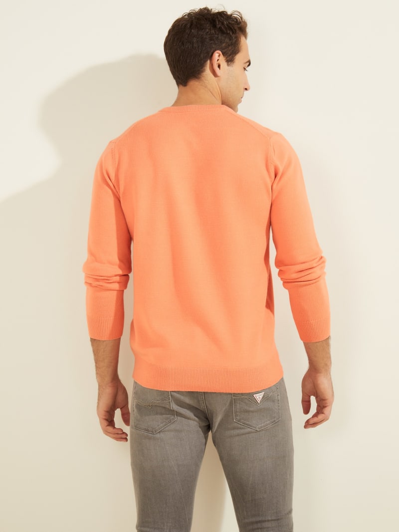 Orange Men's Guess Eco Liam V-Neck Sweaters | 0798621-BY